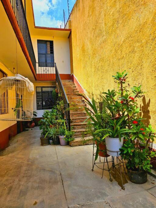 Depa Entero 4 Personas! Apartment Santa Cruz Xoxocotlan Exterior photo